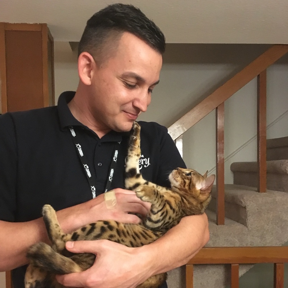 Meet your Posher, Vincent